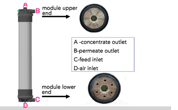 organic membrane module low end face features